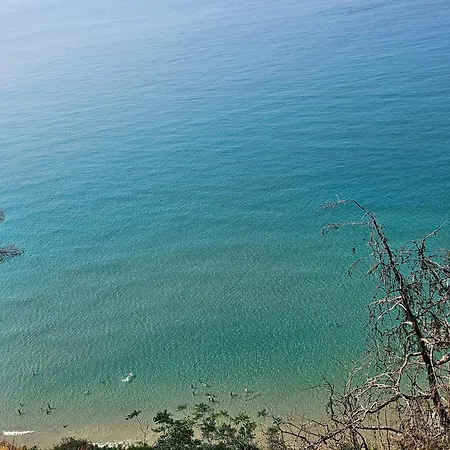 Avocado Сasa de vacaciones Ventimiglia