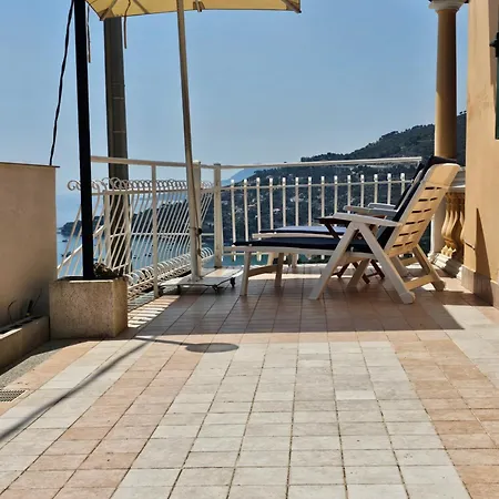 Avocado * 文蒂米利亚