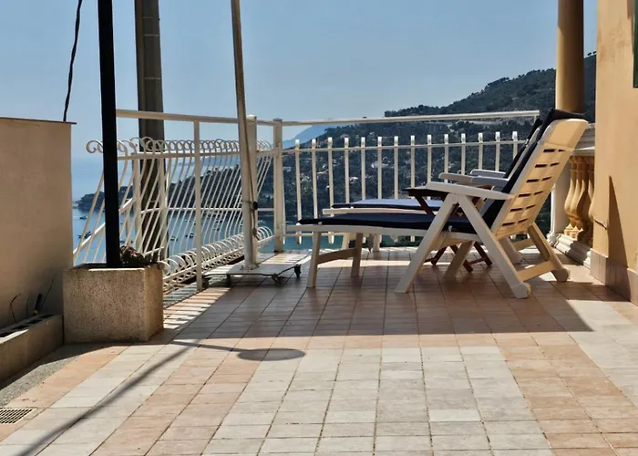 Avocado * Ventimiglia