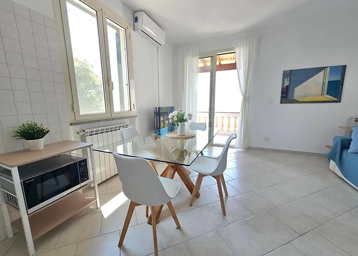 Avocado Сasa de vacaciones *