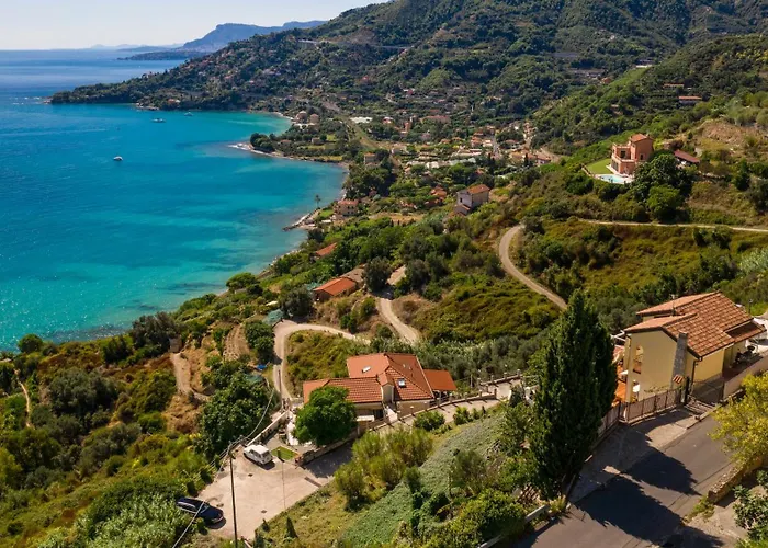 Avocado Сasa de vacaciones